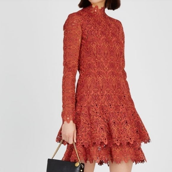 Jonathan Simkhai Dresses & Skirts - LAST CHANCE Jonathan Simkhai Rust Guipure Dress